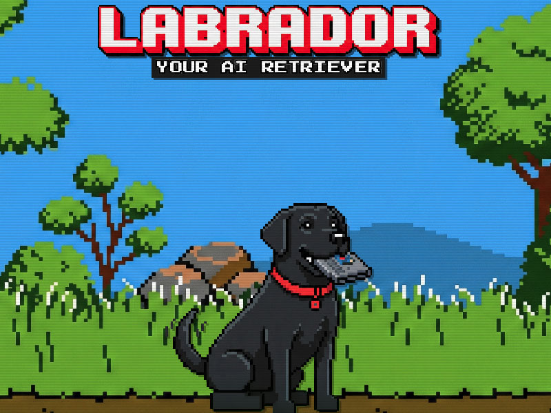 Labrador